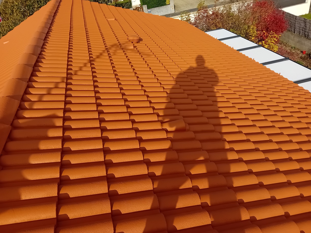 Toiture couverture nueil les aubiers 79250